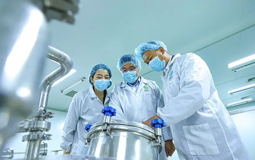 科技赋能“植物工厂” 张掖农特产品提质增效的医药新路径